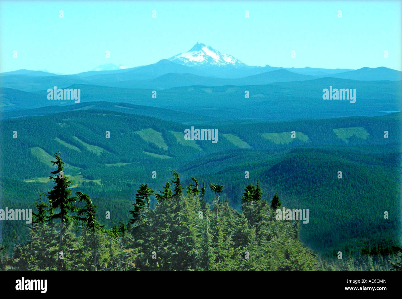 Mt Jefferson in Oregon, Kahlschlag Bereiche des Waldes zeigt.  Staatlichen und bundesstaatlichen Gesetze erfordern Neupflanzung aber Compliance ist nicht so doll. Stockfoto