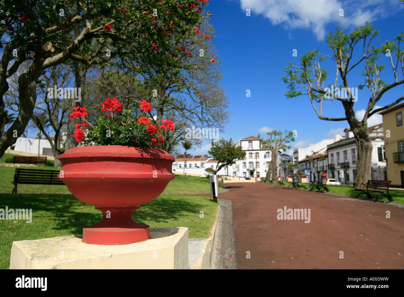 Antero de Quental Park, in der Stadt Ponta Delgada, Azoren, Portugal Stockfoto