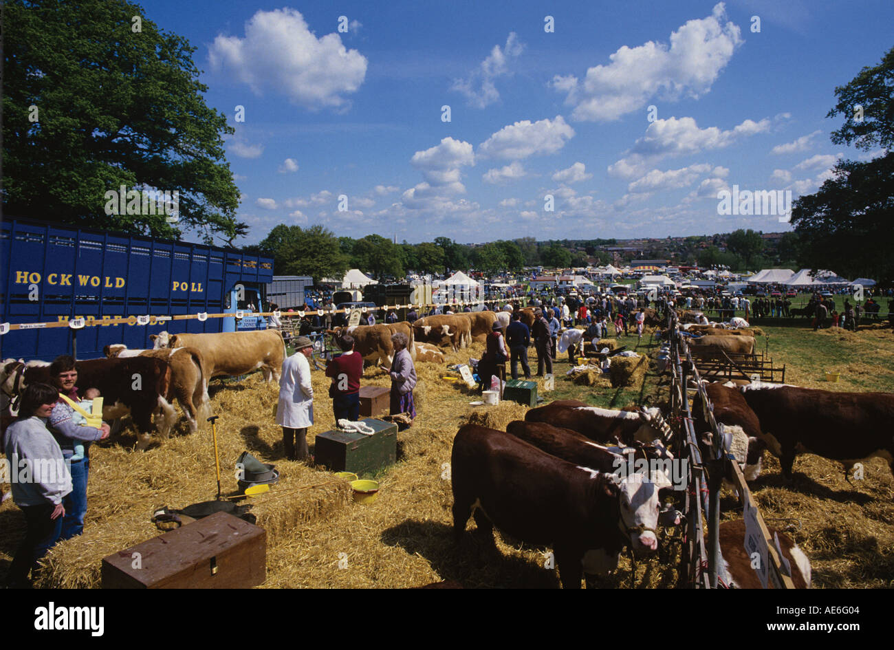 Jährliche Landwirtschaftsausstellung im Mai Vieh Handwerk Vergnügungsviertel und landwirtschaftliche Geräte zeigt Suffolk Stockfoto