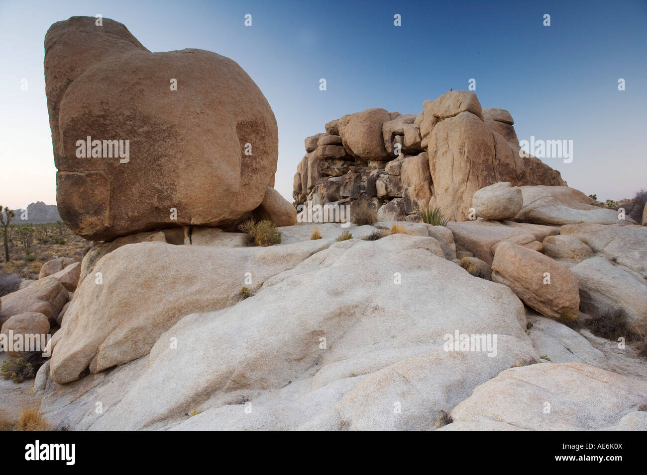 Felsen im Joshua Tree National Park in der Abenddämmerung Stockfoto