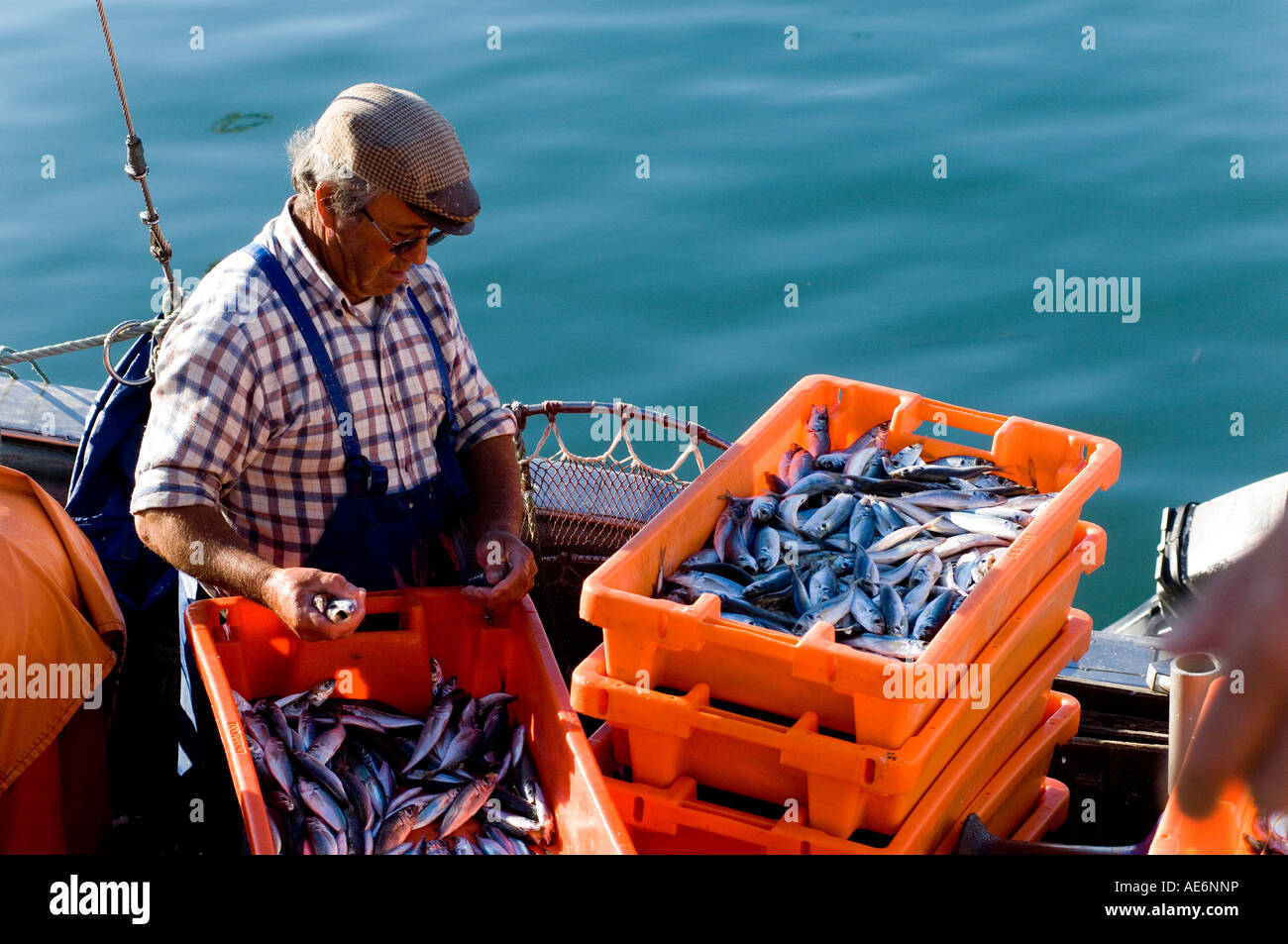 Fischer Lagos Algarve Portugal Stockfoto