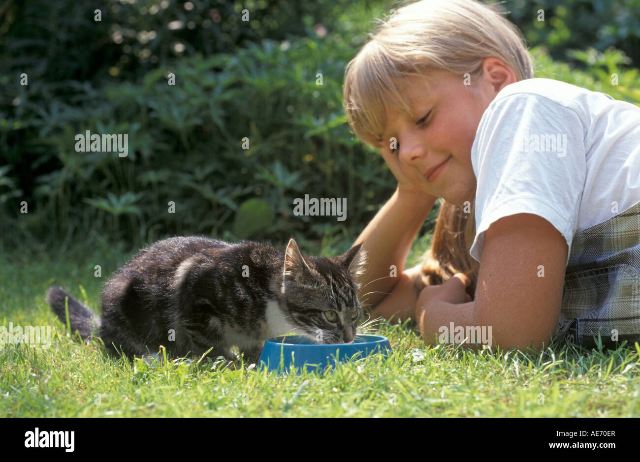 Mädchen auf der Suche auf ein Kätzchen, die Milch zu trinken Stockfoto