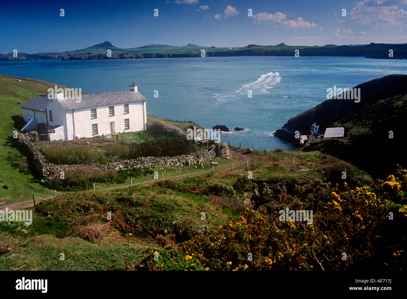 Wächter Haus Ramsey Island Pembrokeshire Dyfed West Wales UK Stockfoto