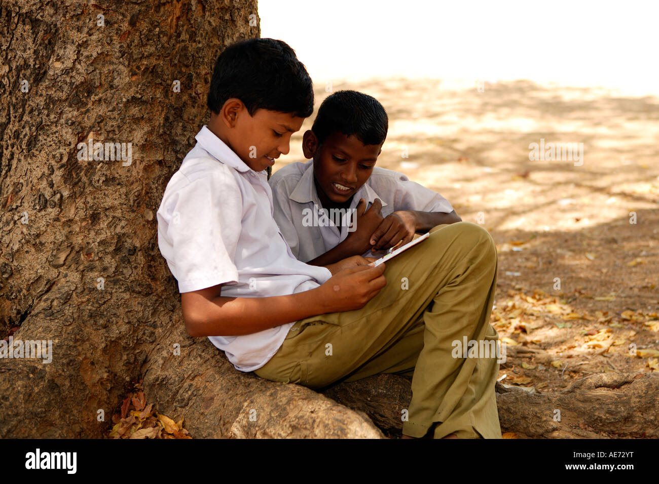 Schülerinnen und Schüler lesen unter einem Baum Saiapet Modell Regierung Schule Chennai Madras Tamil Nadu in Indien Südasien Stockfoto