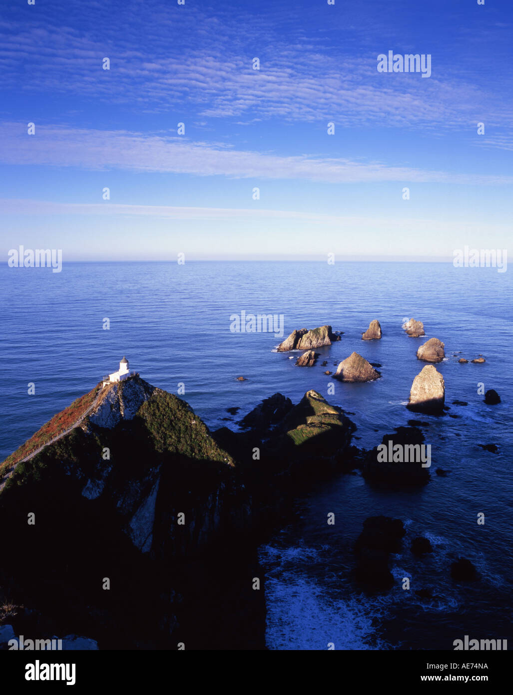 Nugget Point in den Catlins Südinsel Neuseeland Stockfoto