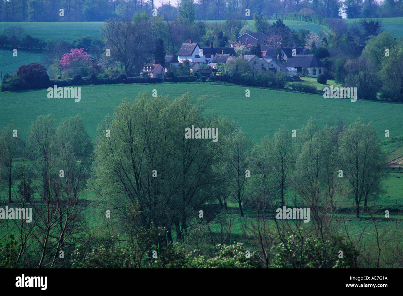 Frische grüne Bäume und Felder über Stour Valley in Richtung Stoke von Nayland Suffolk Stockfoto