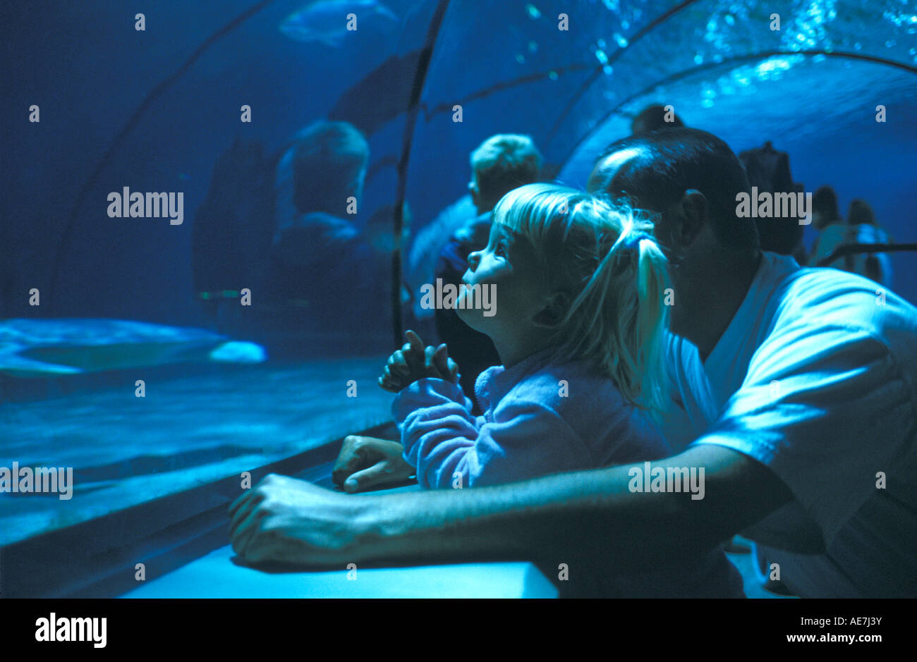 Vater und Kind im Aquarium des Zoos Stockfoto