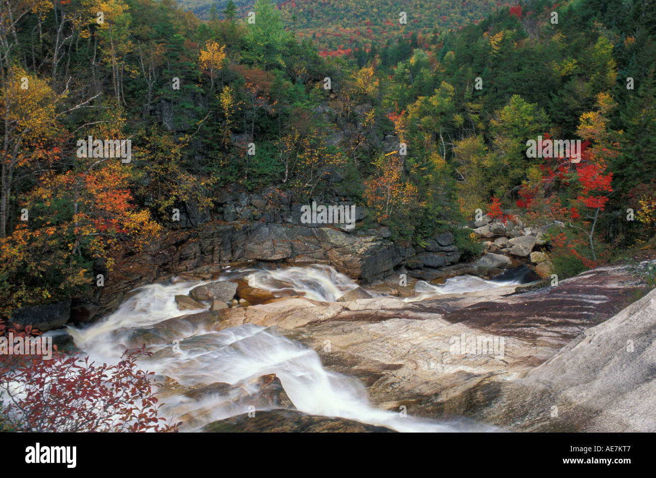 Thoreau verliebt sich in White Mountain National Forest Pemigewasset Wilderness Area Appalachian Trail fallen Laub Lincoln NH Stockfoto