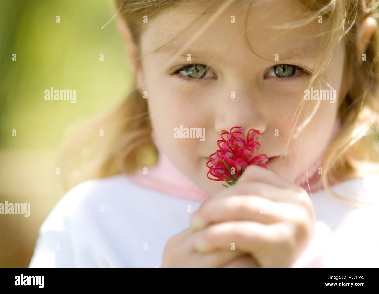 Mädchen riechende Blume Stockfoto