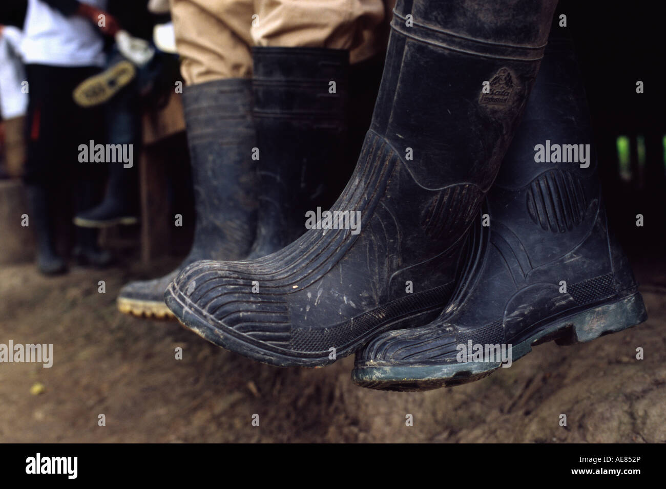 Pampa trekking - Amazonas-Becken, Beni Bolivien Stockfoto