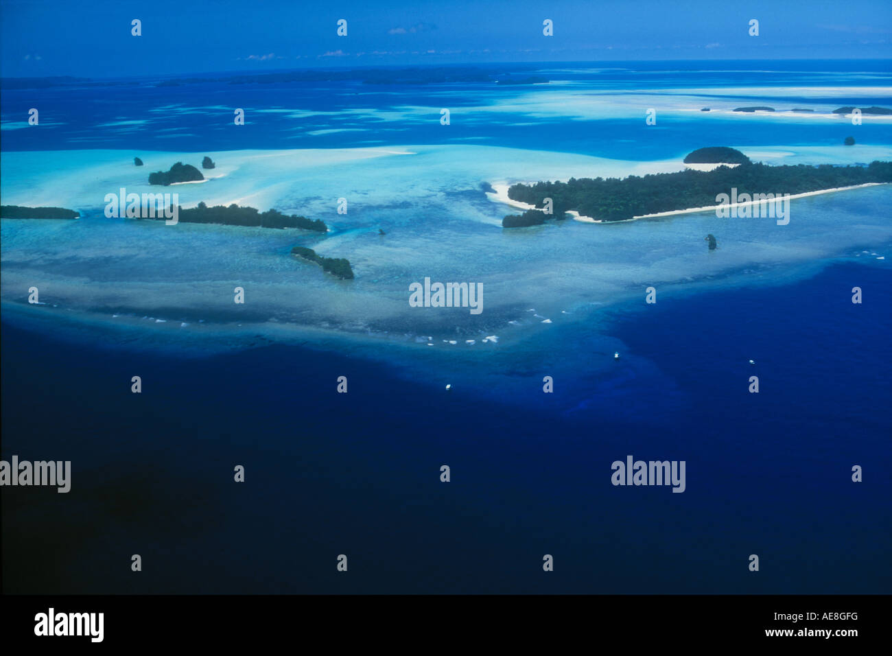 Die berühmten Tauchplatz, Blue Corner, ragt in die Philippinische See, entlang der südwestlichen Barrier Reef in Palau. Stockfoto