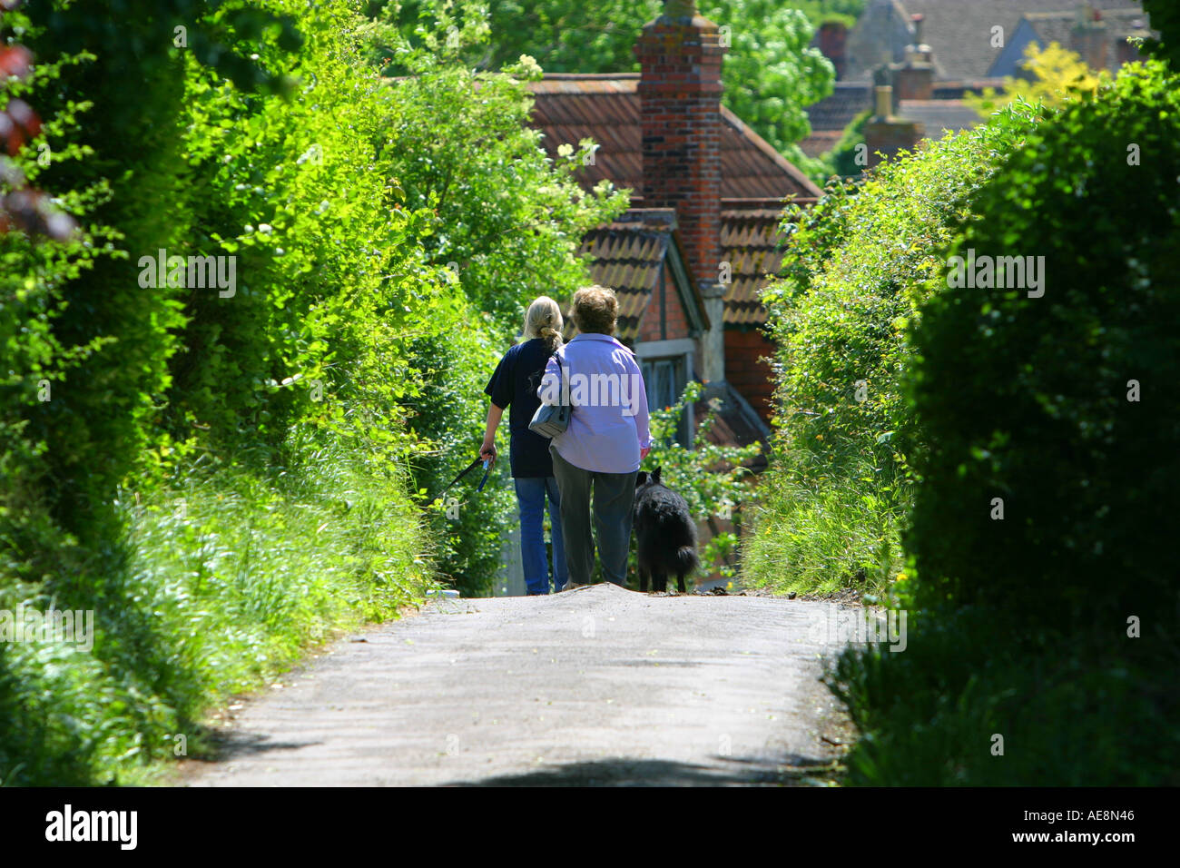 Hundebesitzer in einen Feldweg in Lacock Stockfoto