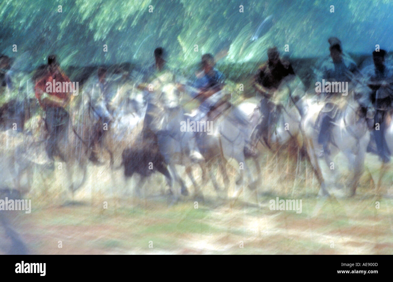 Männer auf galoppierenden Pferden während der Chateau d Avignon Festival Südfrankreich Stockfoto