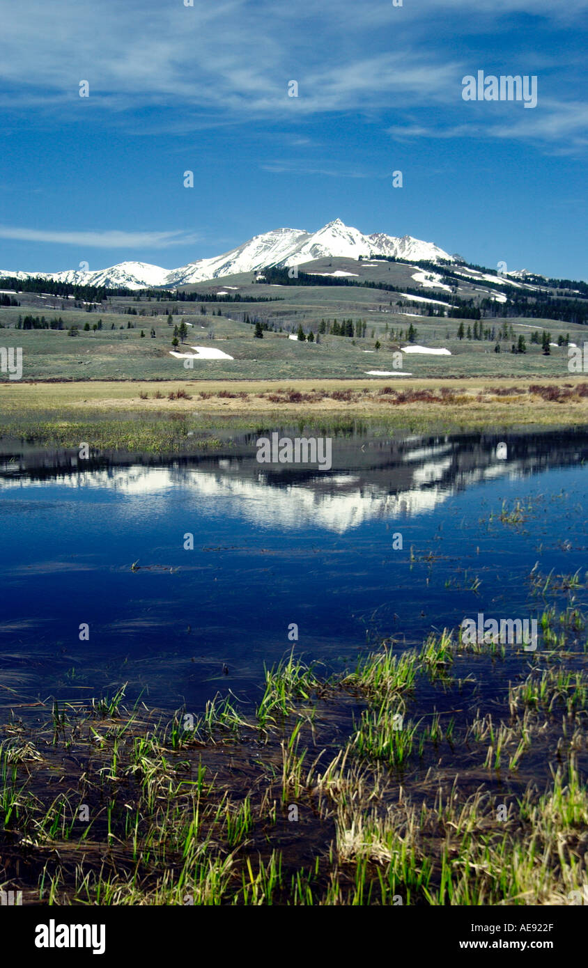 Reflexionen der Gallatin Mountain Range in den kleinen Seen in der Indian Creek Gegend des Yellowstone National Park in Wyoming USA Stockfoto