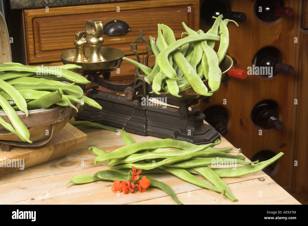 Nach Hause angebauten Stangenbohnen in eine traditionelle Landhausküche mit rustikalen Schuppen Stockfoto