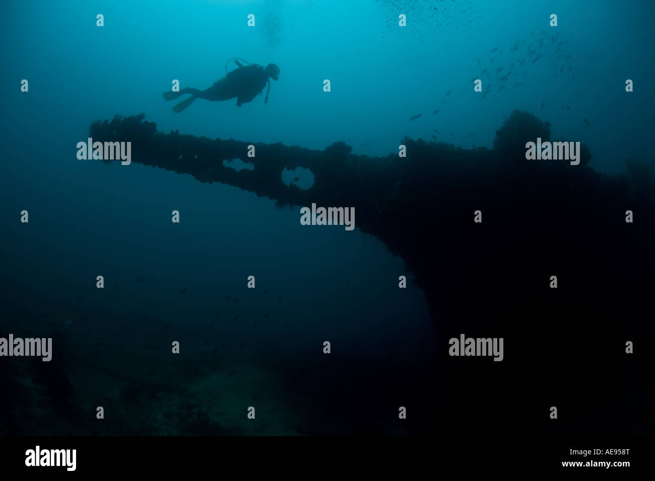 Ein Taucher schwebt über Bogen Sprit von einem japanischen Schiff versenkt während des zweiten Weltkriegs in Palau. Stockfoto