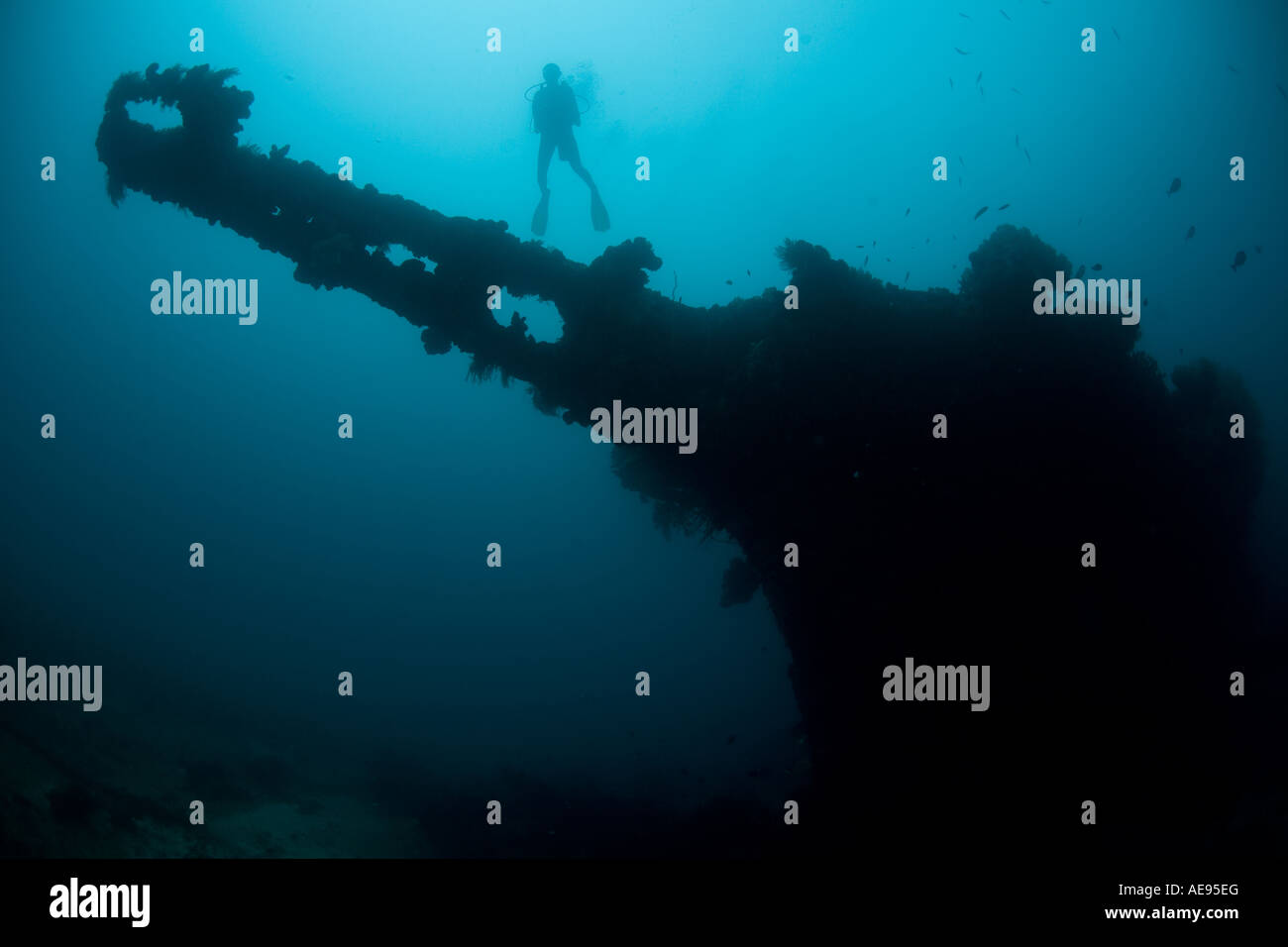 Ein Taucher schwebt über Bogen Sprit von einem japanischen Schiff versenkt während des zweiten Weltkriegs in Palau. Stockfoto