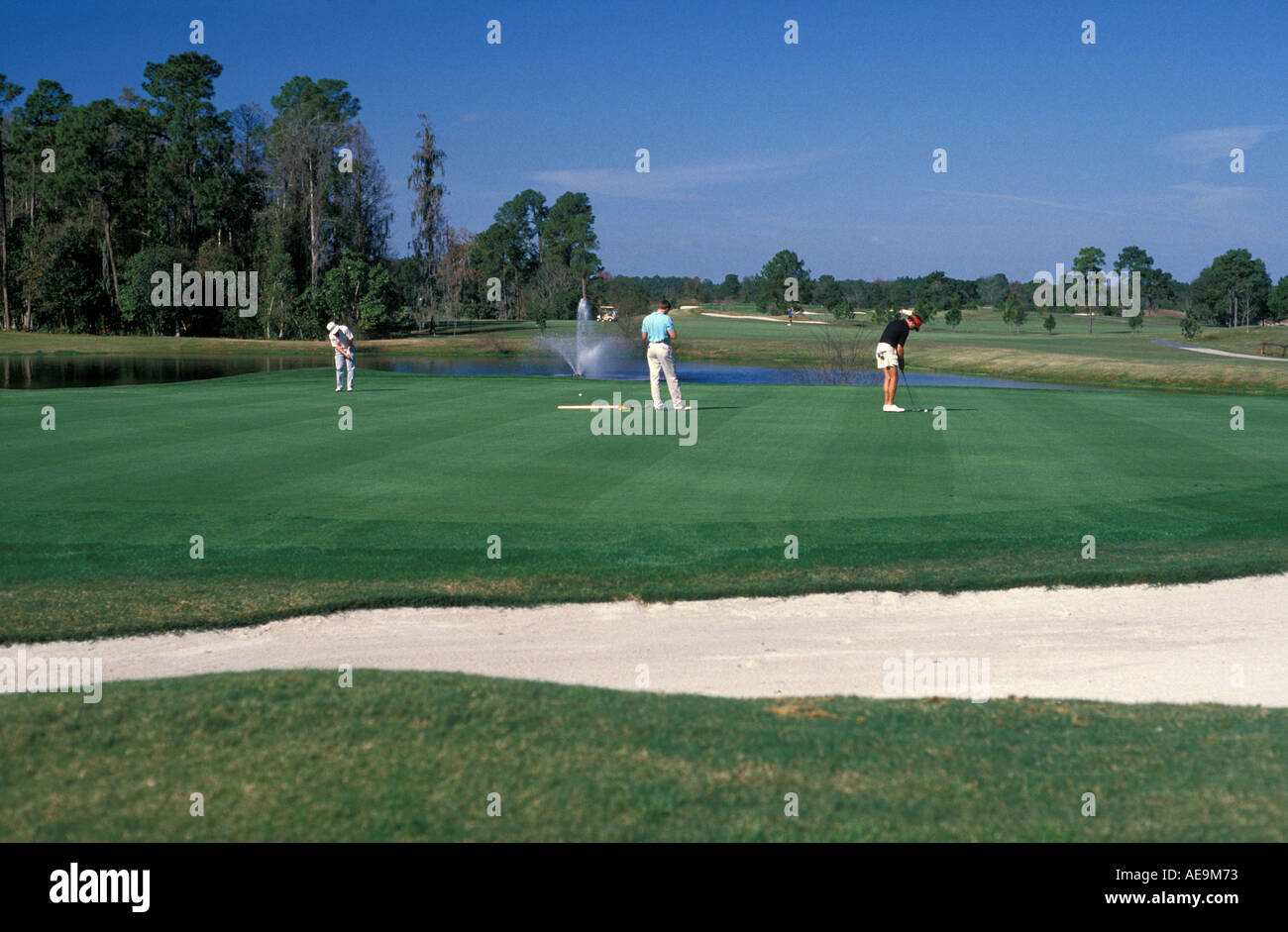 Orlando Florida FL USA USA Golfplatz Walt Disney World Resort Stockfoto