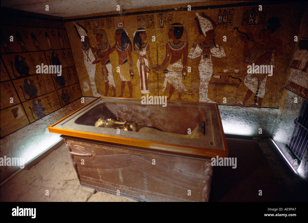 Выставка сокровища гробницы тутанхамона. Картер гробница тутанхамона. Гробница нефертити древний египет. Тутанхамон где находится гробница сейчас. Долина царей гробница нефертити.