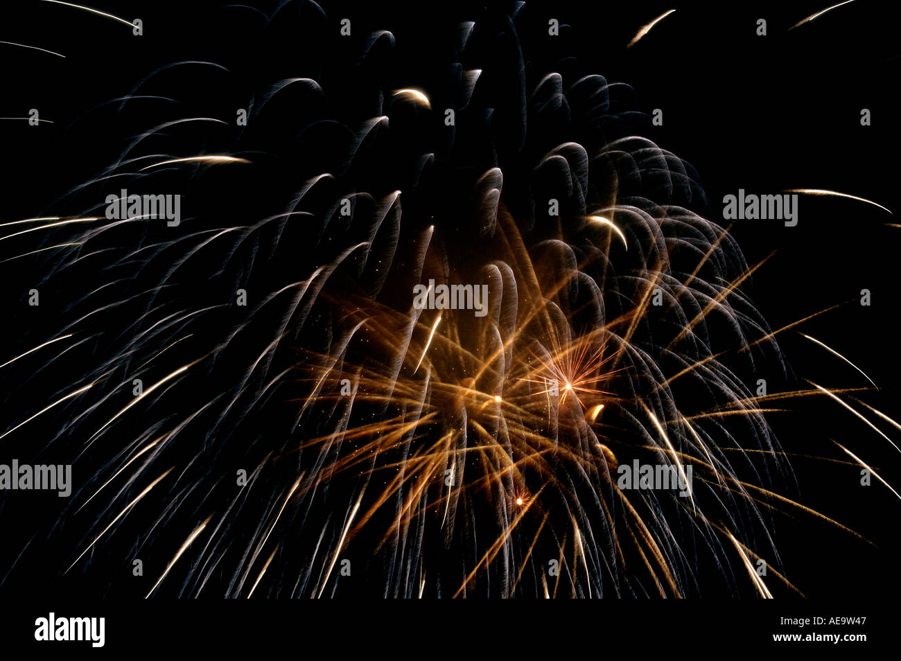 Feuerwerke, die explodiert im Nachthimmel Stockfoto