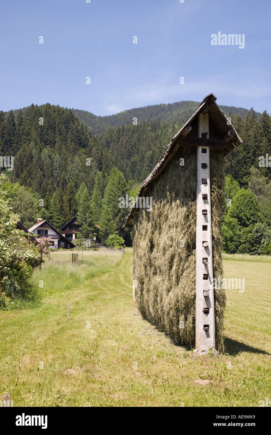 Podkoren Slowenien. Typische Heu Gestell zum Trocknen von Grasschnitt in  ländlichen unbehandelten Almwiese auf Bauernhof im Julischen Alpen Sommer  Stockfotografie - Alamy