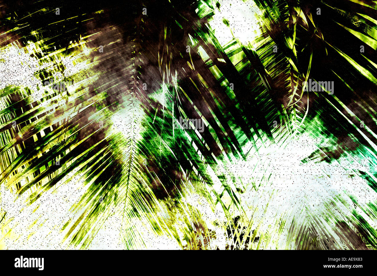 abstrakte Muster Palme Blätter am Boden Illustration Hintergrund Design Textur Konzeptidee Stockfoto