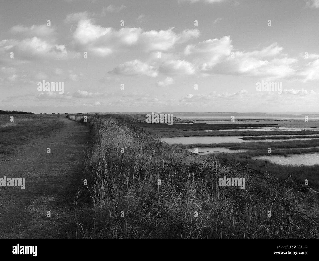 Gwent Ebenen Feuchtgebiete Nature Reserve in der Nähe von Newport South Wales GB UK 2003 Stockfoto