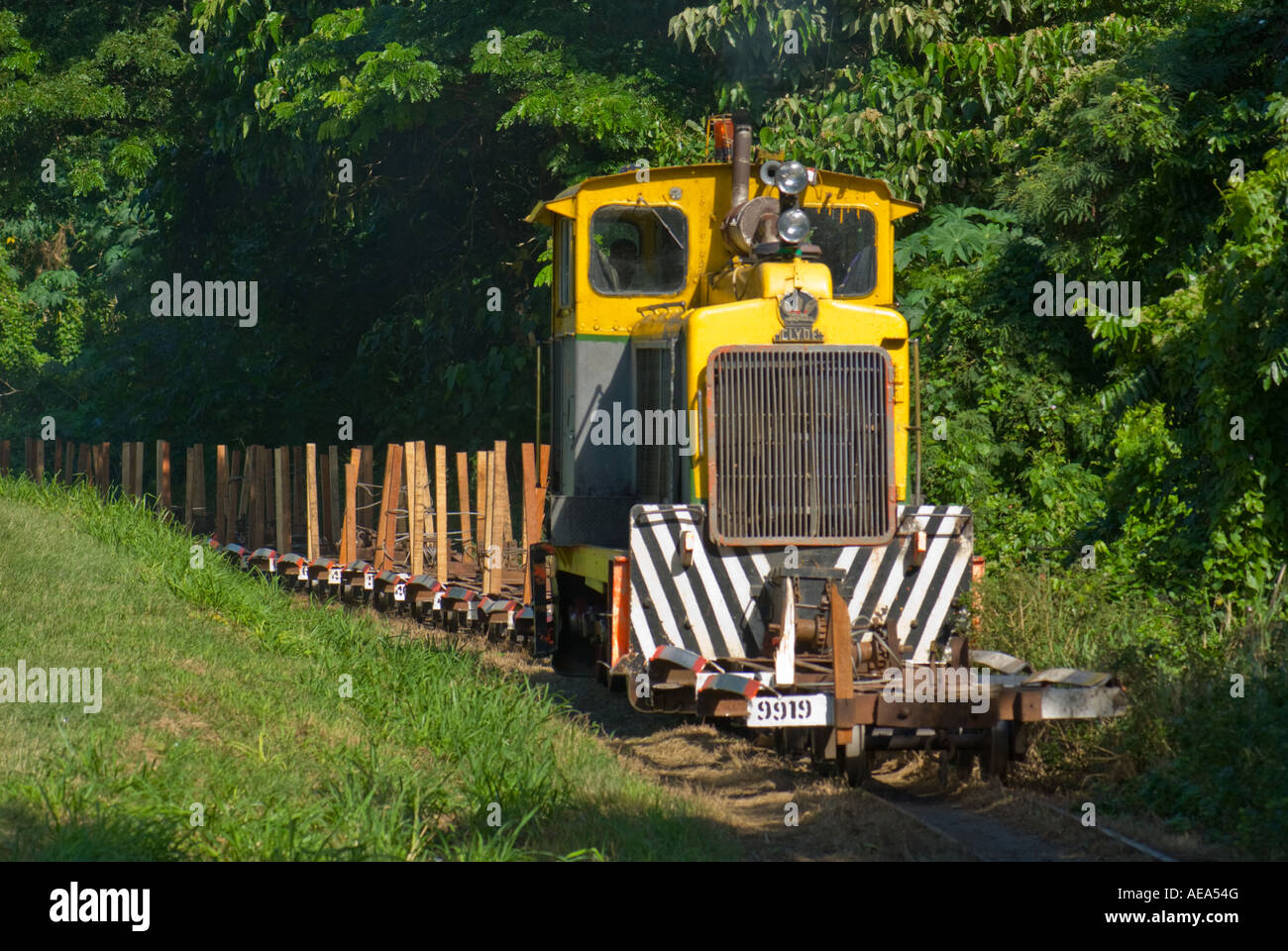 Bahn Transport Transport von Zuckerrohr Zuckerrohr Landwirtschaft Southsea Fidschi-Inseln Südsee Pazifik Sattelschlepper Stockfoto