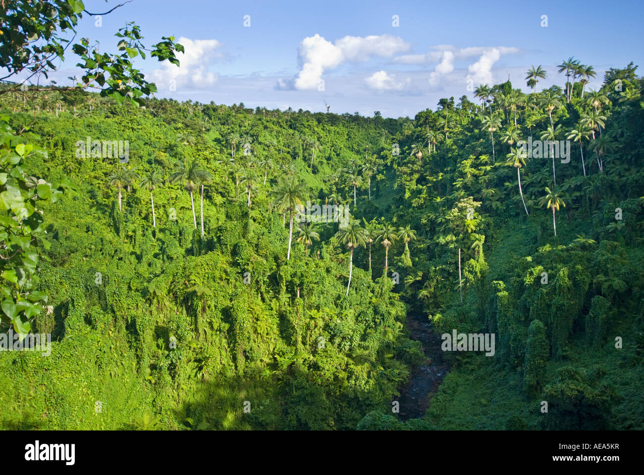 Fuipisia fällt auf den Mulivaifagatola River Atua Samoa Upolu 55 m Stockfoto