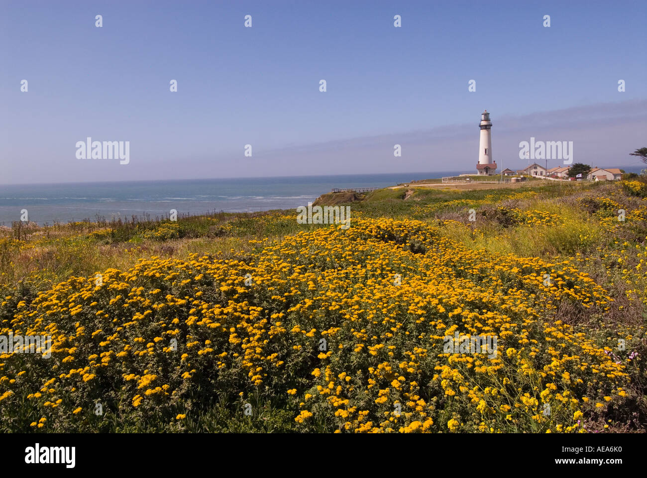 Pigeon Point Lighthouse wichtiges Beispiel der Leuchtturm Architektur jetzt eine Jugendherberge San Mateo Küste Kaliforniens südlich von San F Stockfoto