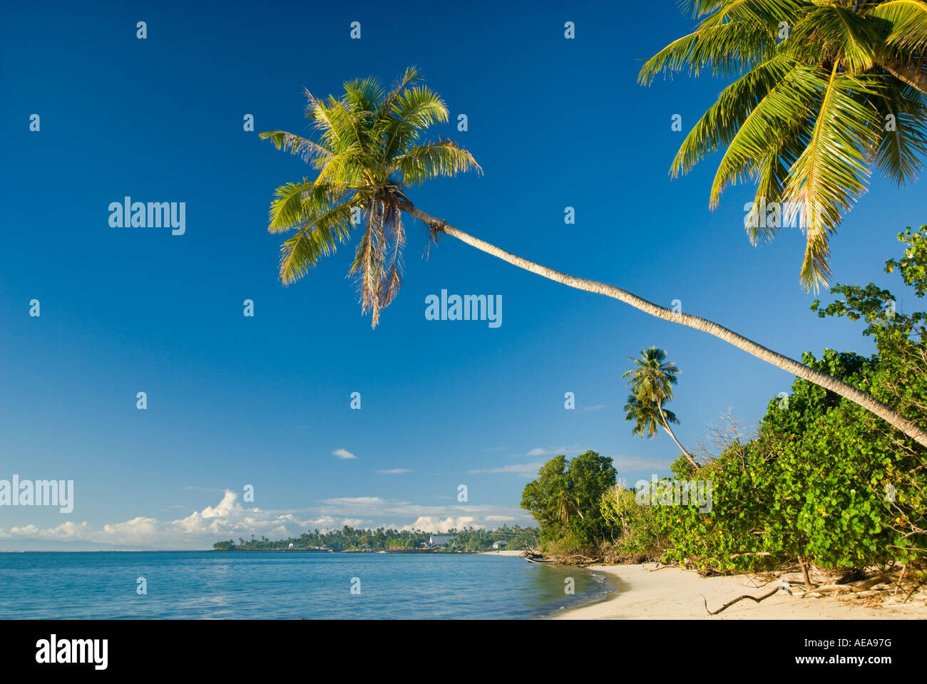 SAVAI Westsamoa Strand Strand MANASE Südküste Stockfoto