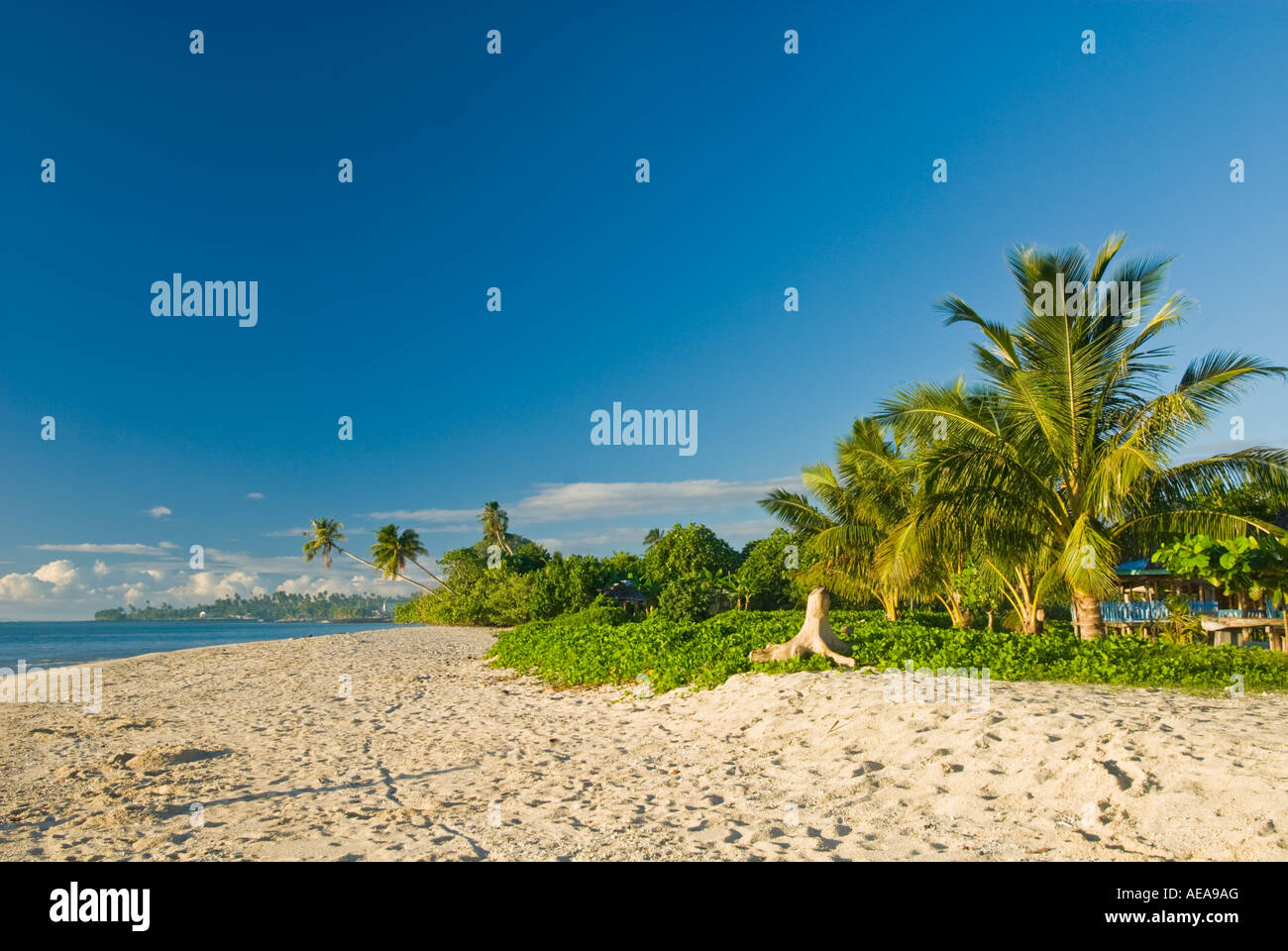 SAVAI Westsamoa Strand Strand MANASE Südküste Stockfoto