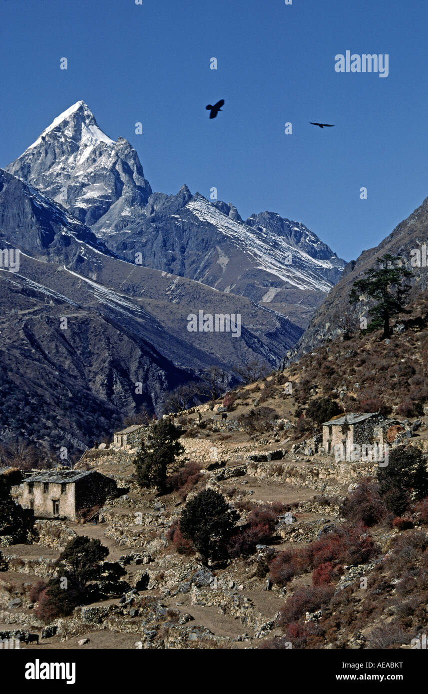 PHORTSE Dorf mit Himalaya-Kulisse KHUMBU Bezirk NEPAL Stockfoto