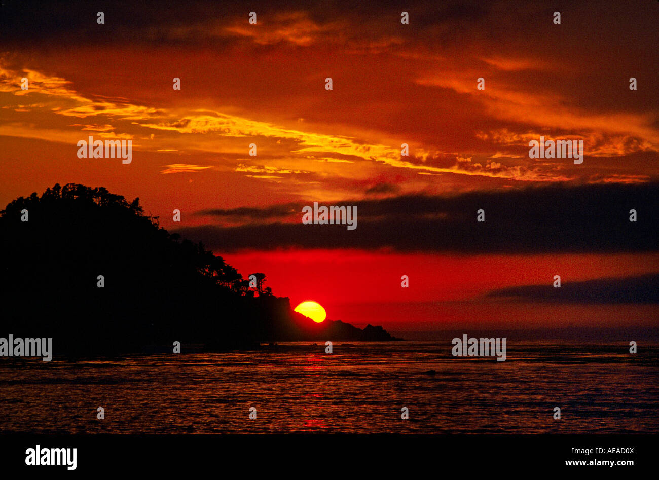 Die Sonne versinkt hinter POINT LOBOS STATE PARK CARMEL Kalifornien Stockfoto