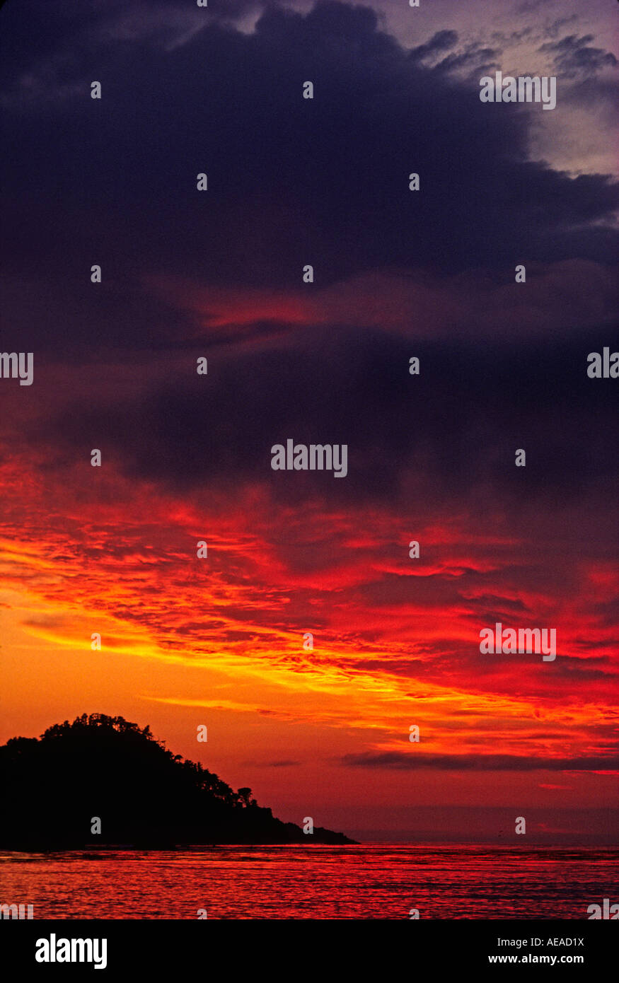Die Sonne versinkt hinter POINT LOBOS STATE PARK CARMEL Kalifornien Stockfoto