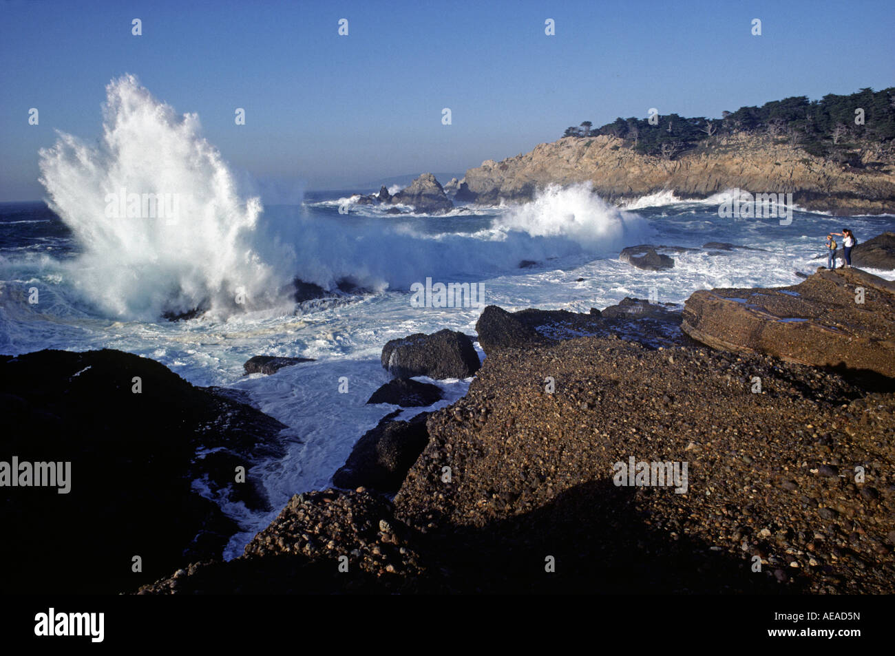 Riesigen Sturm Wellen Winterhit der Küste von POINT LOBOS STATE PARK CARMEL Kalifornien Stockfoto