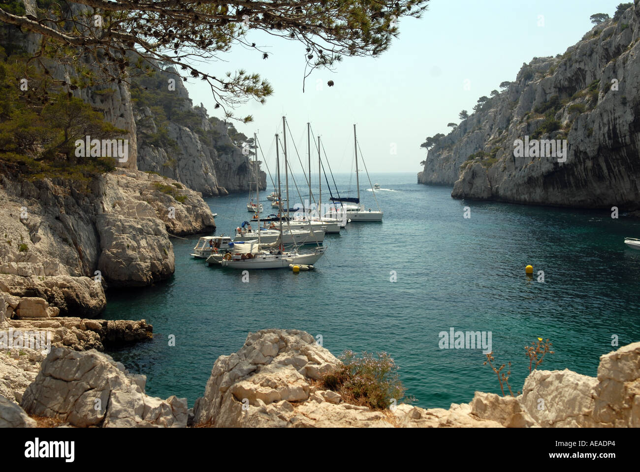 De Vau Calanque, in der Nähe von Cassis, Frankreich. Stockfoto