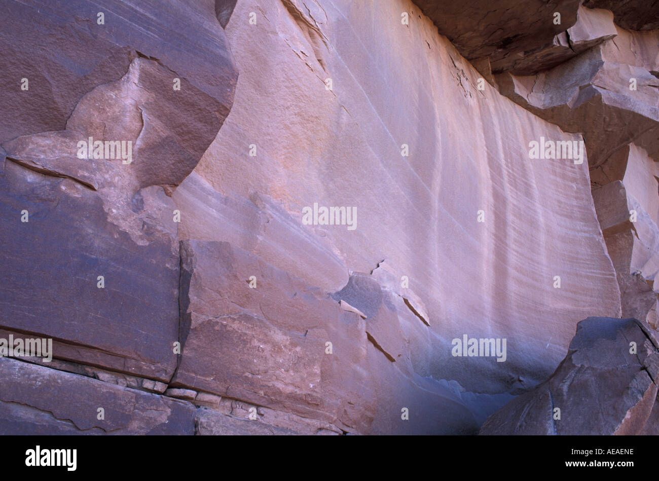 Canyonlands National Park UT Cedar Mesa Sandsteinwand in die Nadeln Bezirk in der Nähe von Elephant Hill-Zufahrt Stockfoto