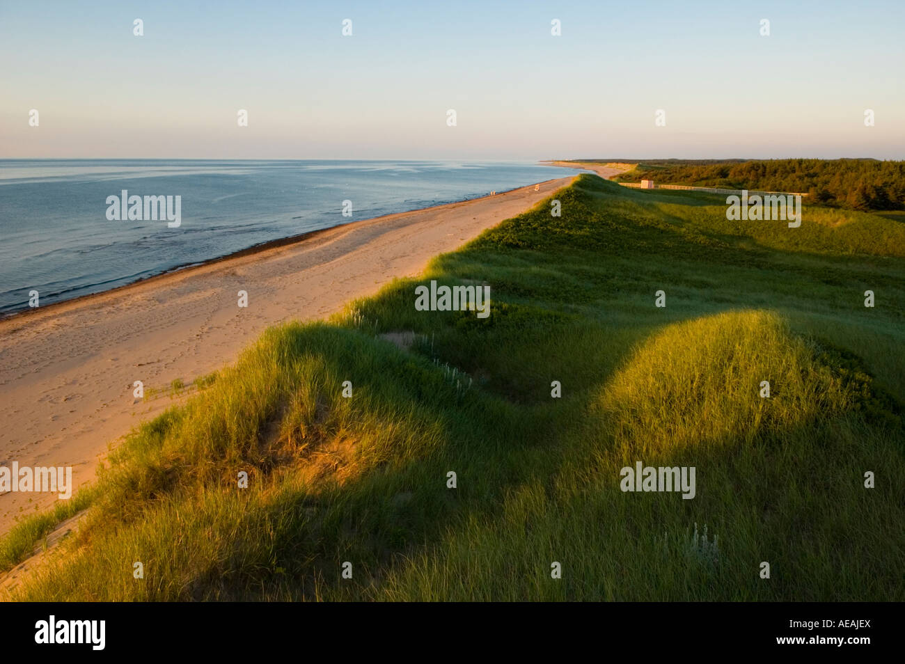 Strand Dünen an der Greenwich-Prince Edward Island National Park PEI Kanada Stockfoto