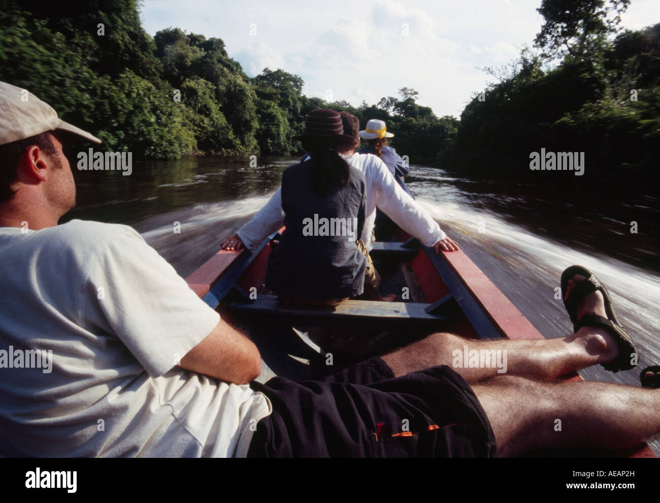 Bootsfahrt - Amazonasbecken, Beni Bolivien Stockfoto