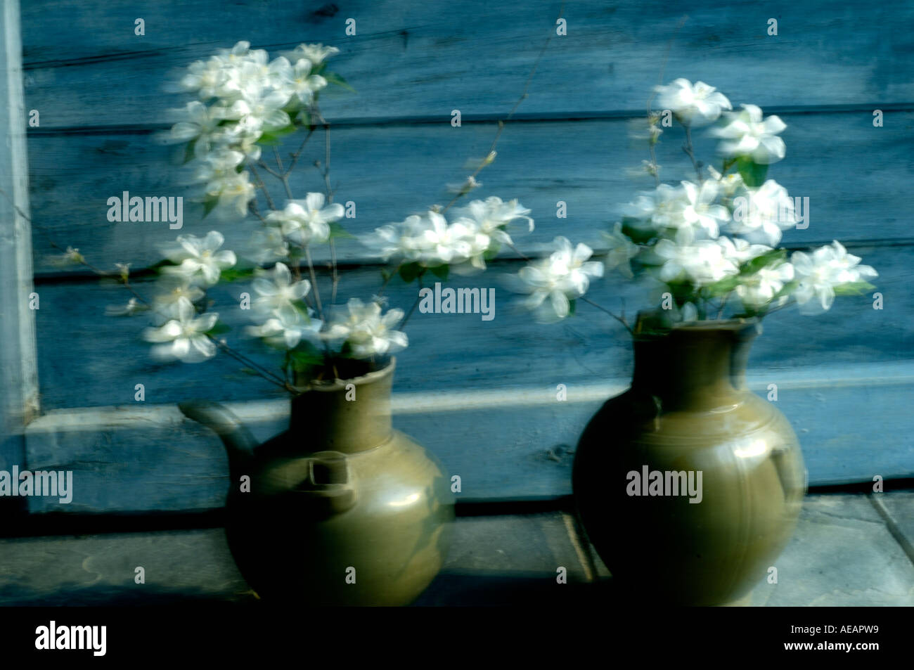 Blumen-arrangement Stockfoto