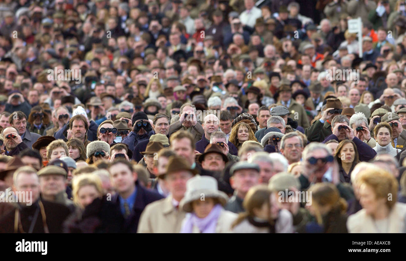 Cheltenham Rennen Festival Menge verwenden Fernglas beobachten Pferderennen Gloucestershire Stockfoto