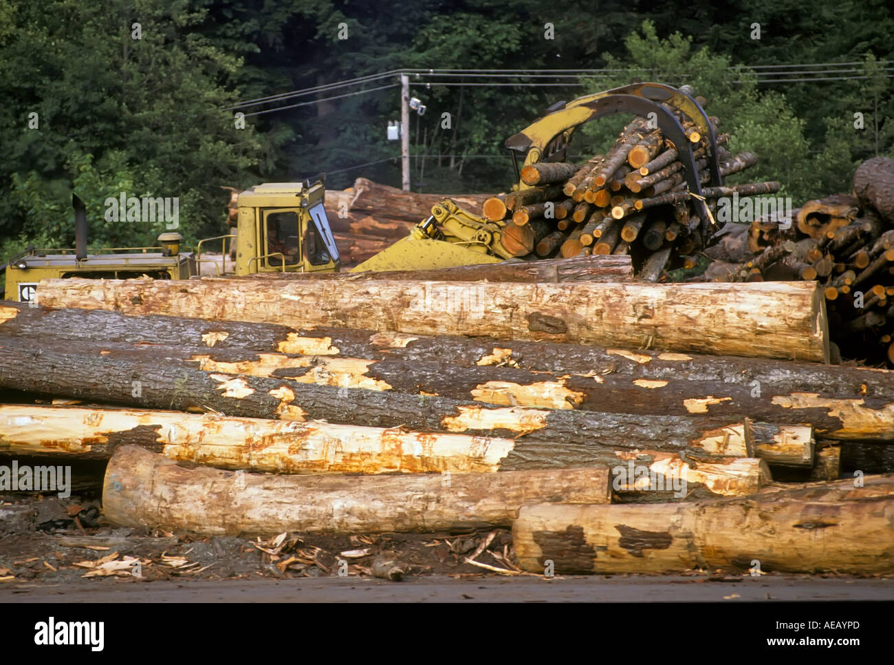 Holzverarbeitende Industrie entlang der Wenatchee River im US-Bundesstaat Washington WA Stockfoto