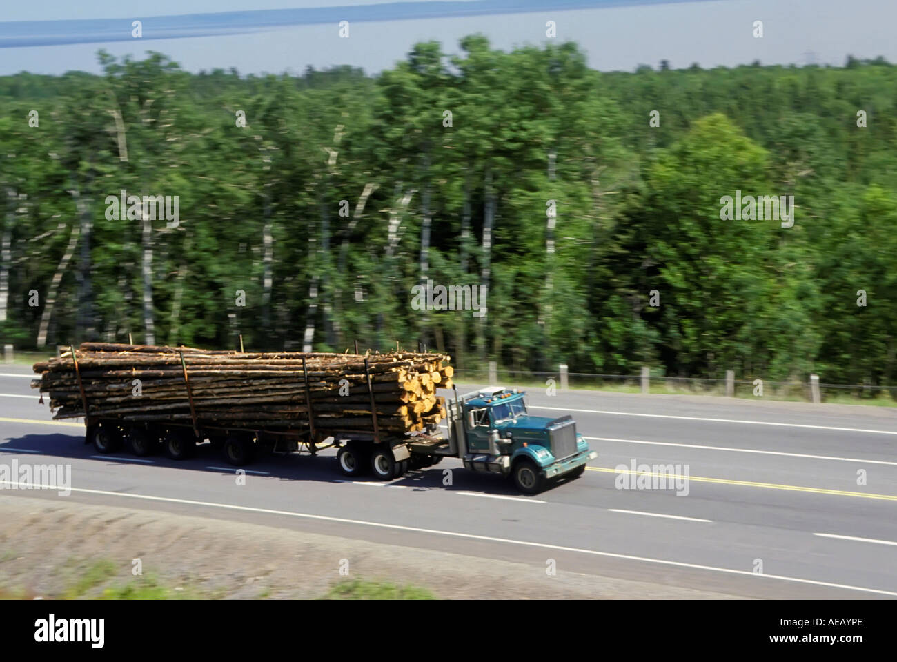 Holzindustrie im oberen Teil des Bundesstaates Minnesota MN Stockfoto
