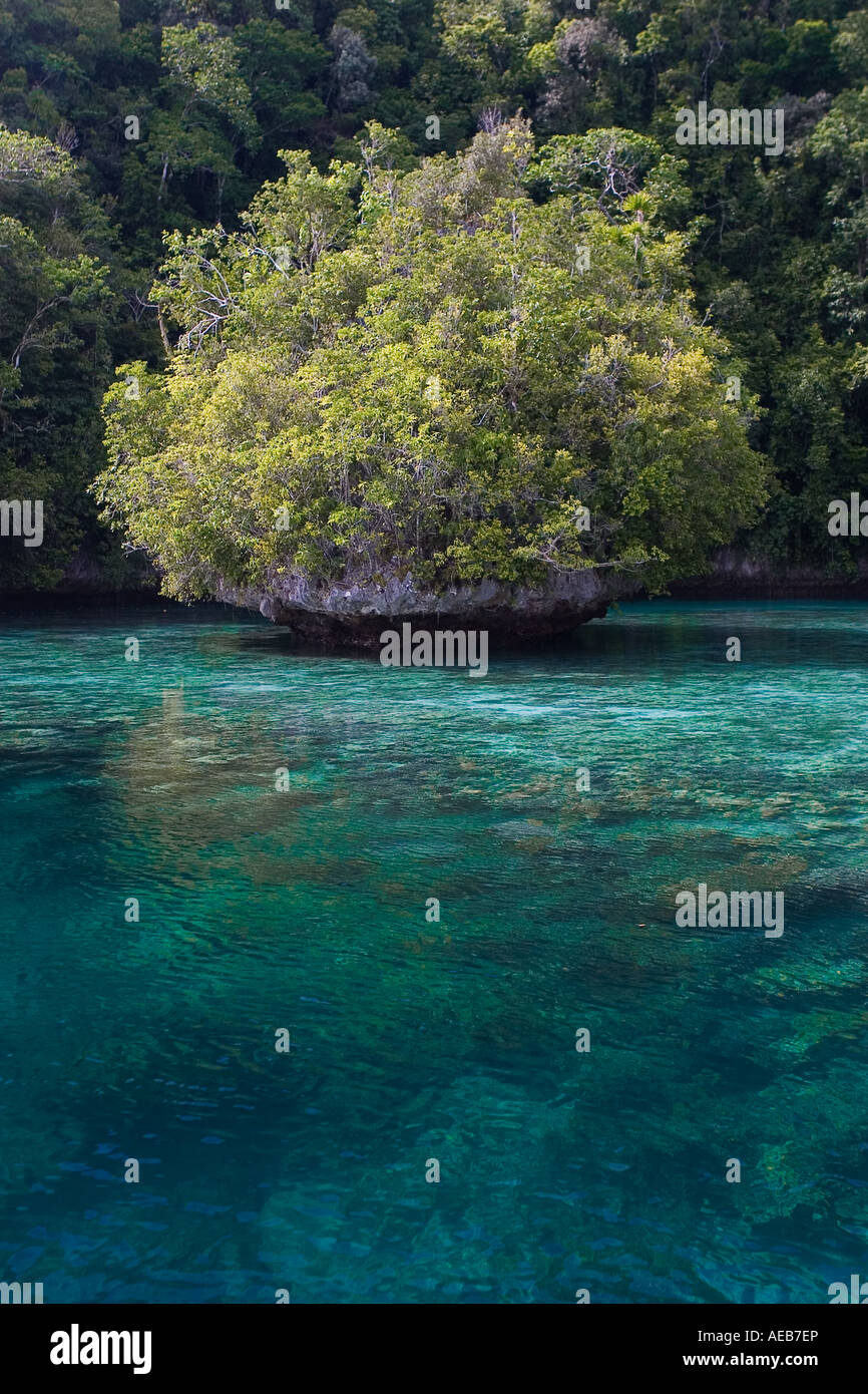"Felseninsel" im inneren Lagune von Palau ist eigentlich eine alte Korallenriff, aufgerichtet vor Millionen von Jahren. Stockfoto