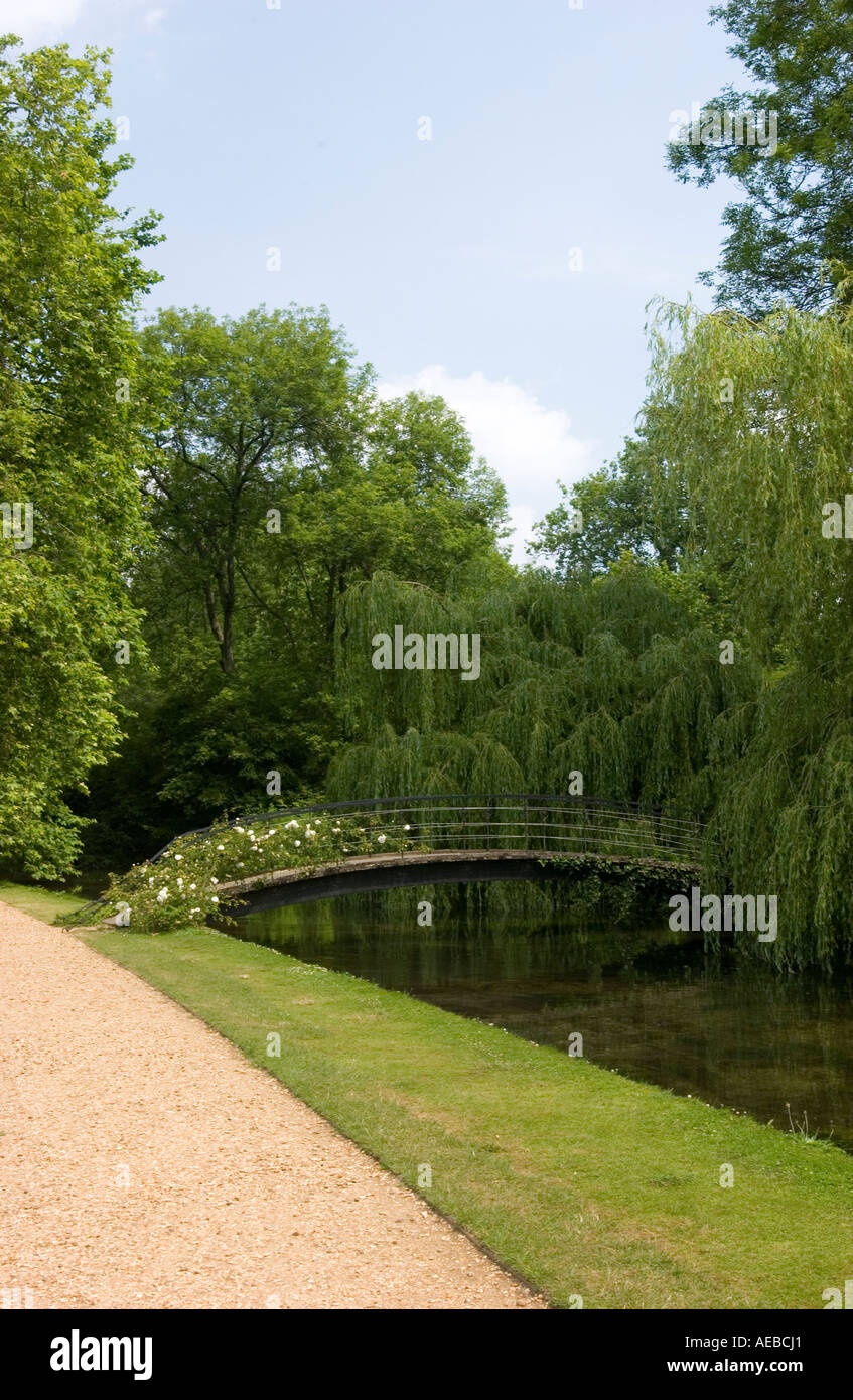 Steg mit stieg Blüten über den Fluss Test eines England Sfinest Forellenflüsse auf Mottisfont Abbey Hampshire Stockfoto