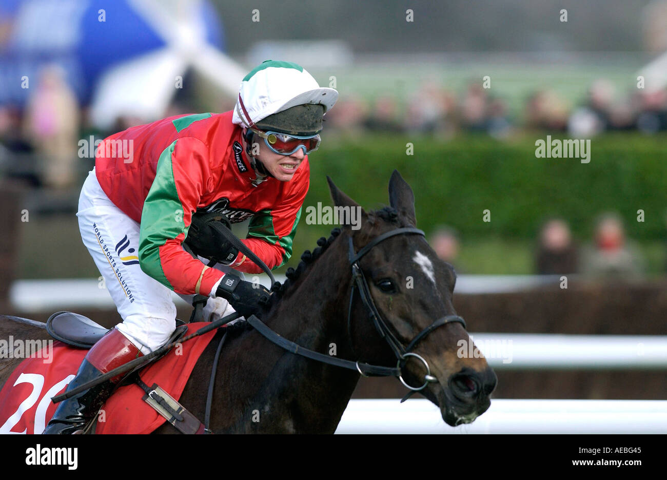 Jockey Richard Johnson Rennen Reitpferd Jimmy Tennis in der Royal and Sun Alliance Chase beim Cheltenham Festival Stockfoto