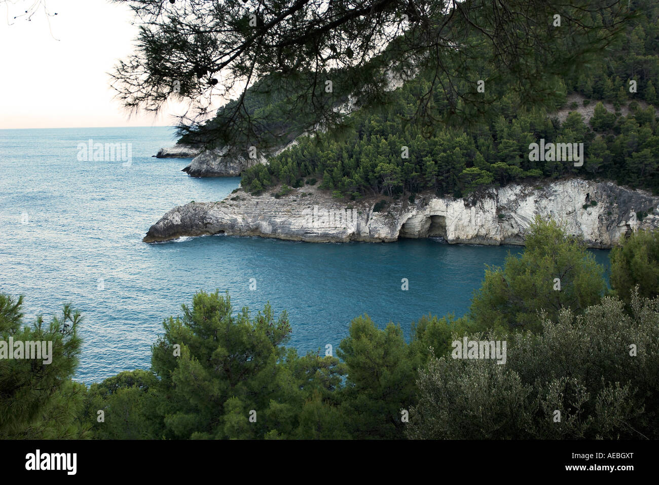 Meer-Grotte an der Küste des Gargano Apulien Italien Stockfoto