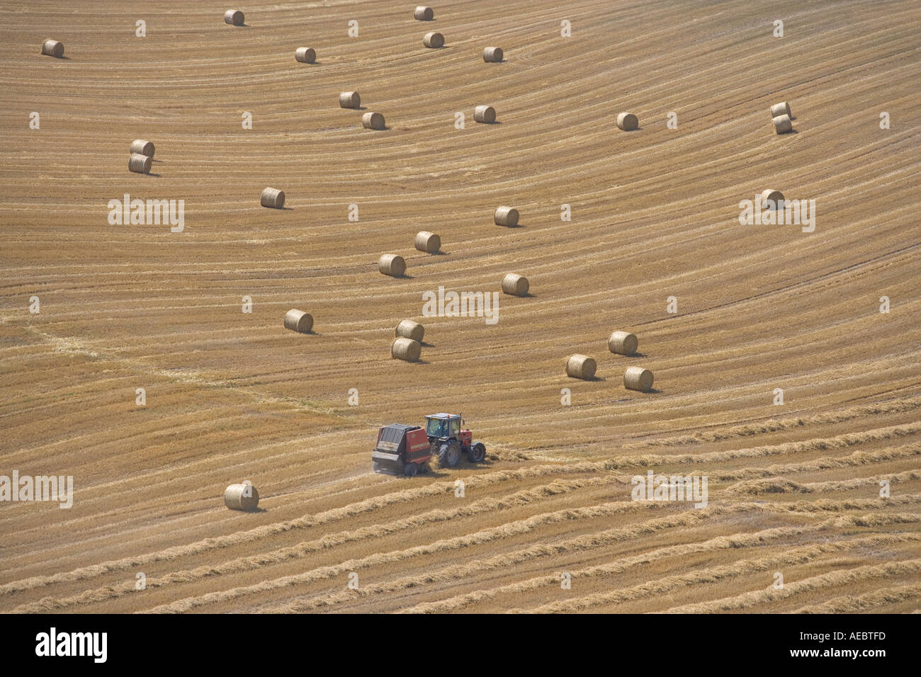 Gerste Stroh Ballen Ivinghoe Hills Buckinghamshire UK August Stockfoto