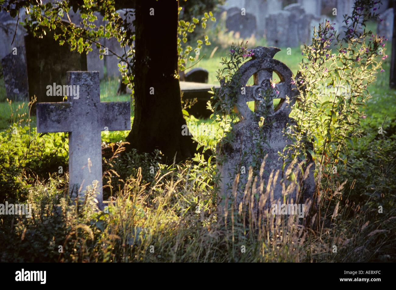 Grabsteine in St. Nikolaus Kirche Arundel Sussex England Stockfoto